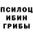 Галлюциногенные грибы GOLDEN TEACHER PeAcH AvA