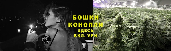 МДПВ Богородск