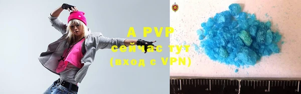 a pvp Богданович