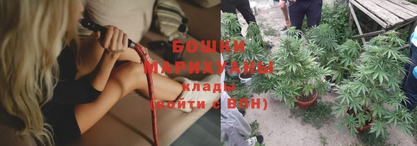 сатива Белоозёрский