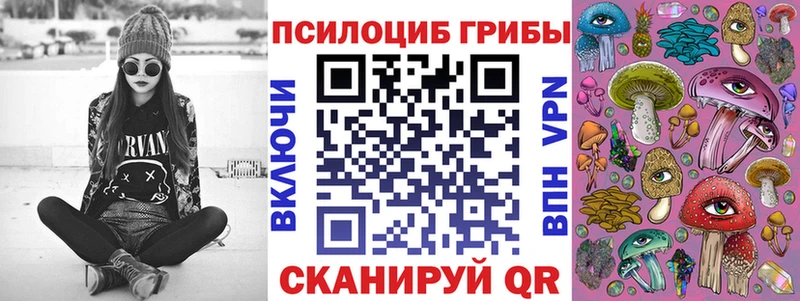 где купить   Санкт-Петербург  Псилоцибиновые грибы Magic Shrooms 
